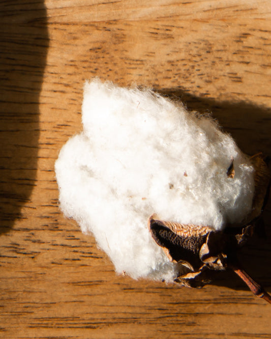 Organic Cotton Meaning